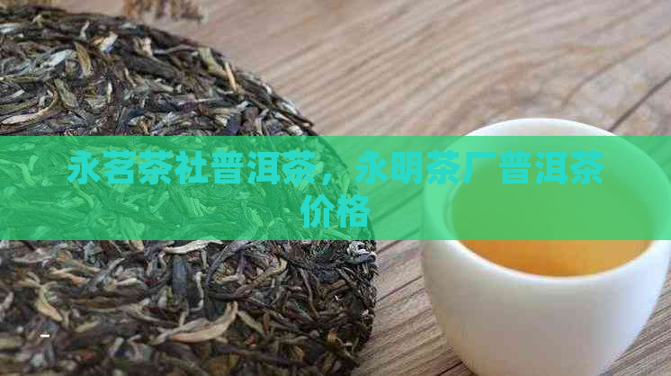 永茗茶社普洱茶，永明茶厂普洱茶价格