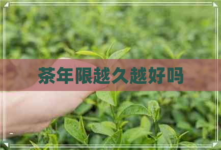 茶年限越久越好吗