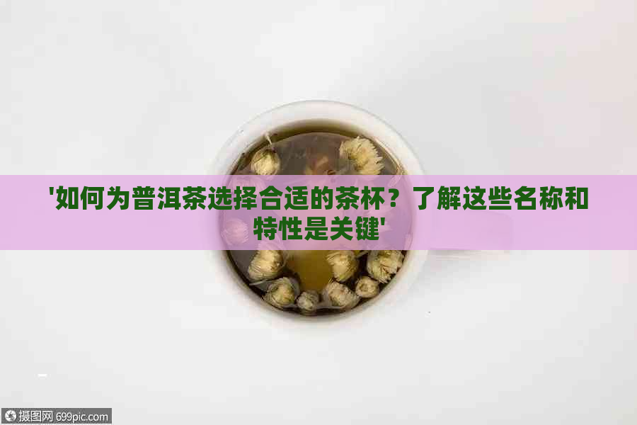 '如何为普洱茶选择合适的茶杯？了解这些名称和特性是关键'