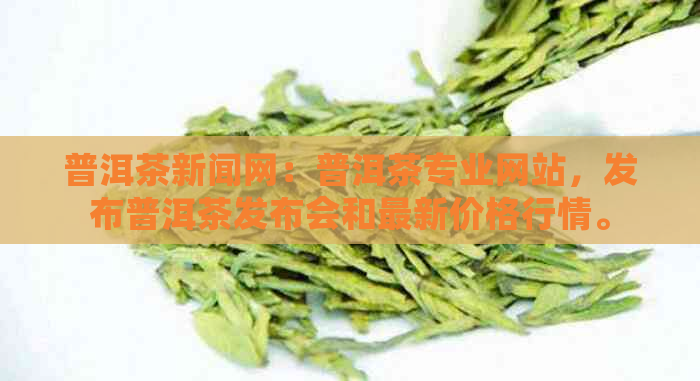 普洱茶新闻网：普洱茶专业网站，发布普洱茶发布会和最新价格行情。