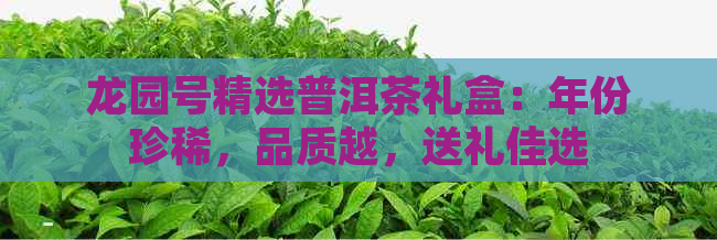 龙园号精选普洱茶礼盒：年份珍稀，品质越，送礼佳选