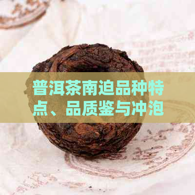 普洱茶南迫品种特点、品质鉴与冲泡方法全方位解析