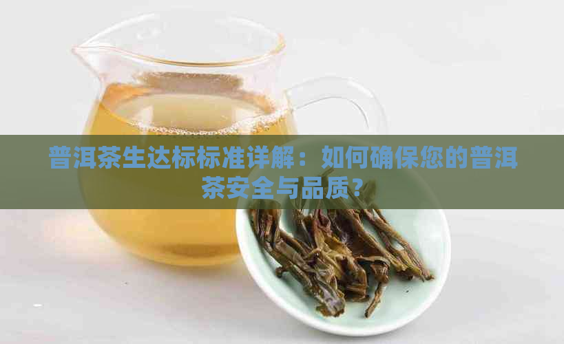 普洱茶生达标标准详解：如何确保您的普洱茶安全与品质？