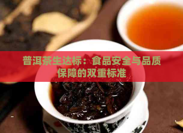 普洱茶生达标：食品安全与品质保障的双重标准