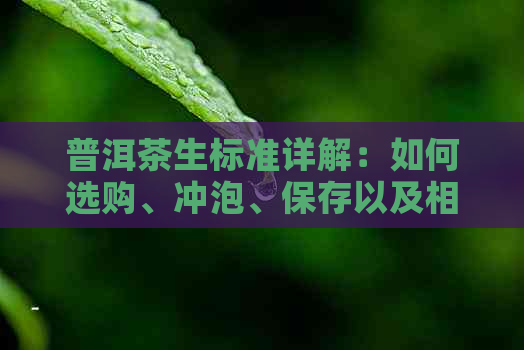 普洱茶生标准详解：如何选购、冲泡、保存以及相关注意事项