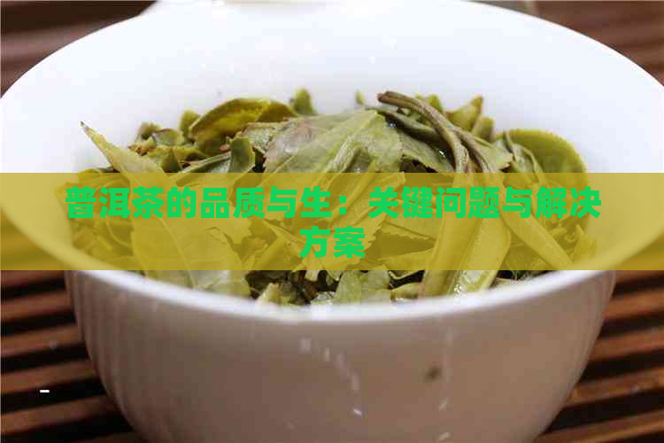 普洱茶的品质与生：关键问题与解决方案