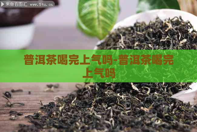 普洱茶喝完上气吗-普洱茶喝完上气吗