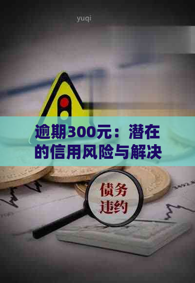 逾期300元：潜在的信用风险与解决策略