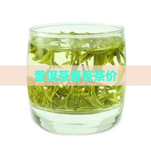 普洱茶春茶茶价