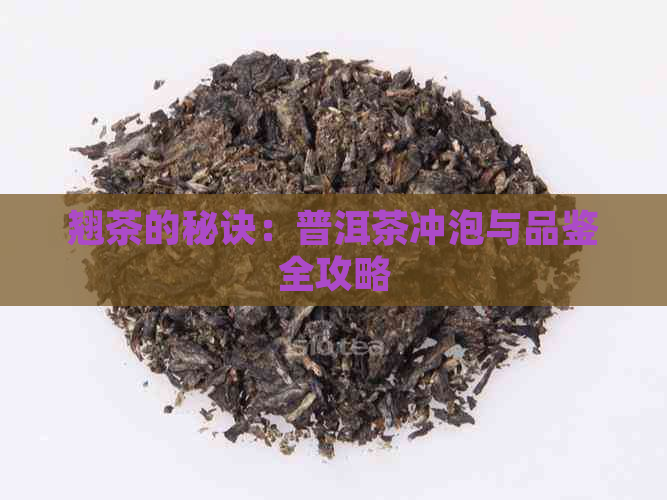 翘茶的秘诀：普洱茶冲泡与品鉴全攻略