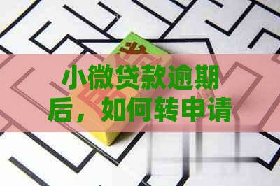 小微贷款逾期后，如何转申请其他小微贷款？解决办法全解析