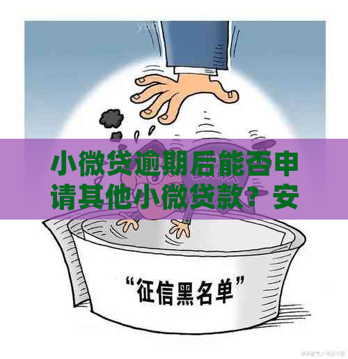 小微贷逾期后能否申请其他小微贷款？安全可靠吗？