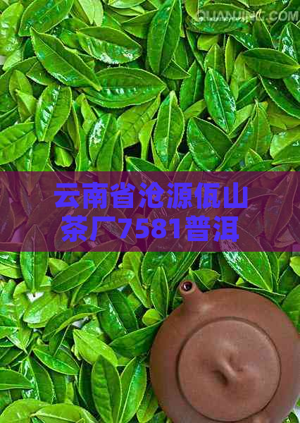 云南省沧源佤山茶厂7581普洱熟茶茶砖