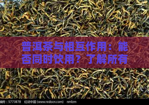 普洱茶与相互作用：能否同时饮用？了解所有相关信息和建议