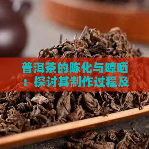 普洱茶的陈化与晾晒：探讨其制作过程及影响因素