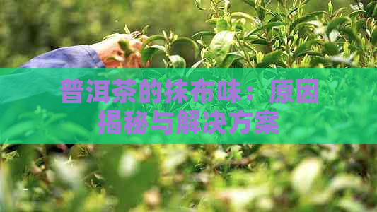 普洱茶的抹布味：原因揭秘与解决方案