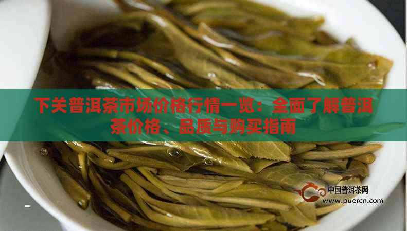 下关普洱茶市场价格行情一览：全面了解普洱茶价格、品质与购买指南