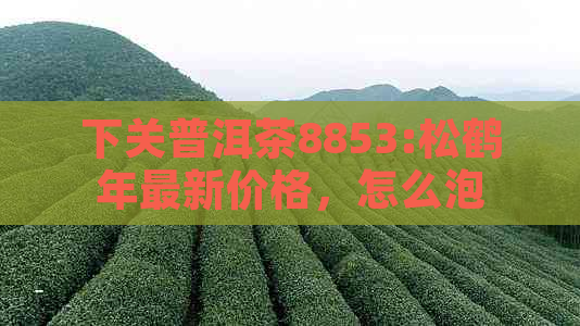 下关普洱茶8853:松鹤年最新价格，怎么泡？高端与收藏哪款好？