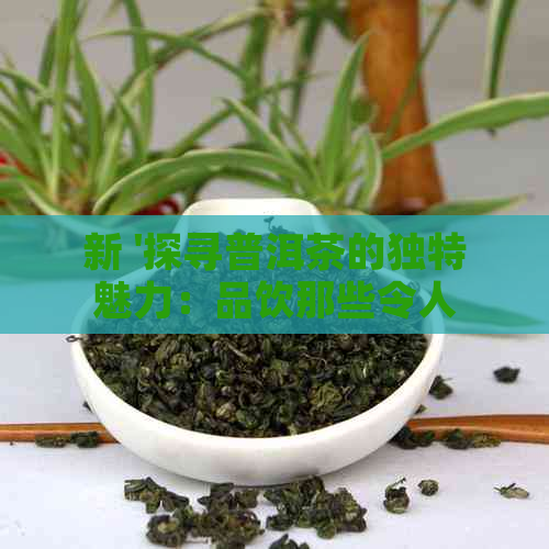 新 '探寻普洱茶的独特魅力：品饮那些令人难以忘怀的口感和香气'