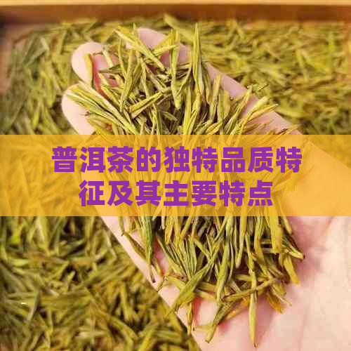 普洱茶的独特品质特征及其主要特点