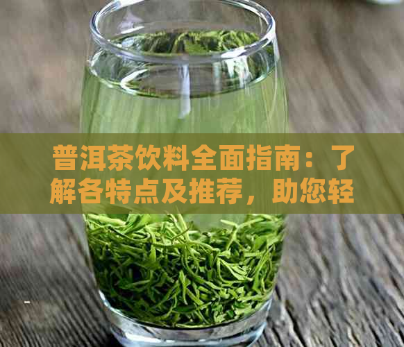 普洱茶饮料全面指南：了解各特点及推荐，助您轻松选购