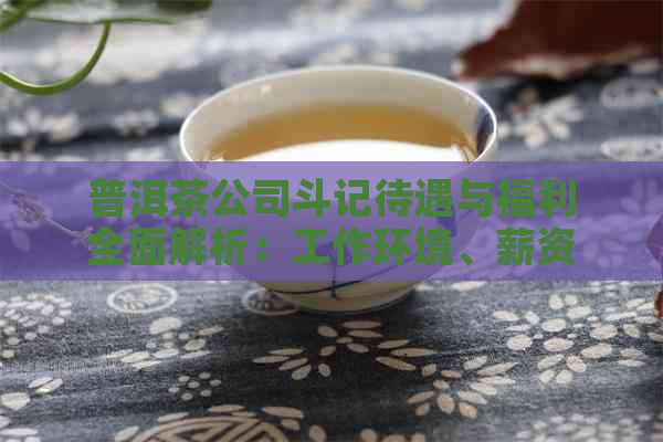 普洱茶公司斗记待遇与福利全面解析：工作环境、薪资待遇、福利待遇一应俱全