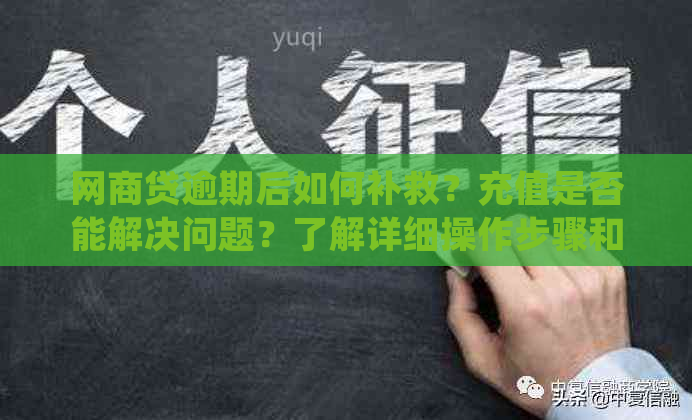 网商贷逾期后如何补救？充值是否能解决问题？了解详细操作步骤和注意事项