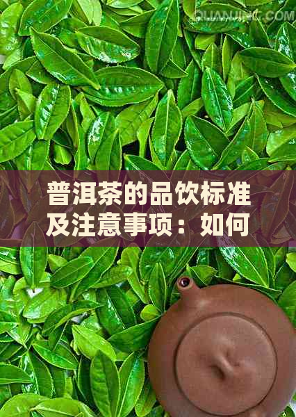 普洱茶的品饮标准及注意事项：如何正确饮用普洱茶？