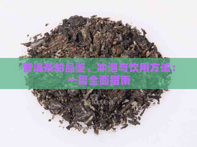 普洱茶的品鉴、冲泡与饮用方法：一篇全面指南