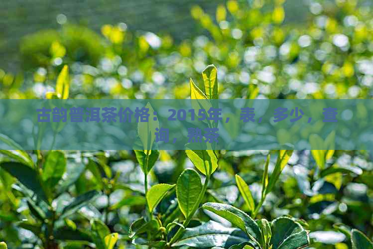 古韵普洱茶价格：2015年，表，多少，查询，熟茶