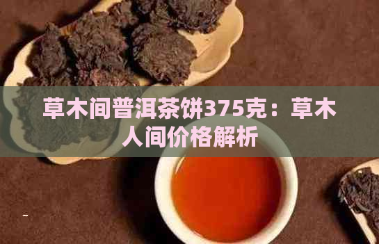 草木间普洱茶饼375克：草木人间价格解析