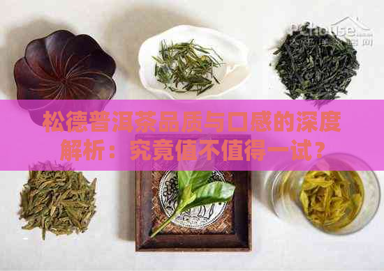 松德普洱茶品质与口感的深度解析：究竟值不值得一试？