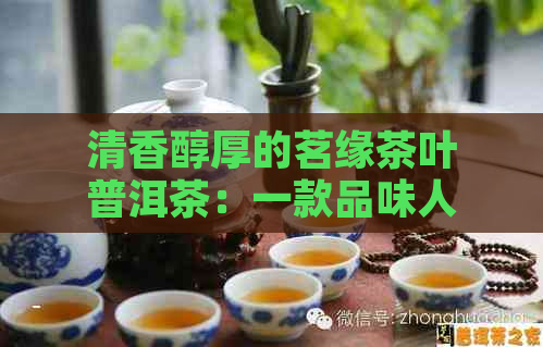 清香醇厚的茗缘茶叶普洱茶：一款品味人生的经典佳饮