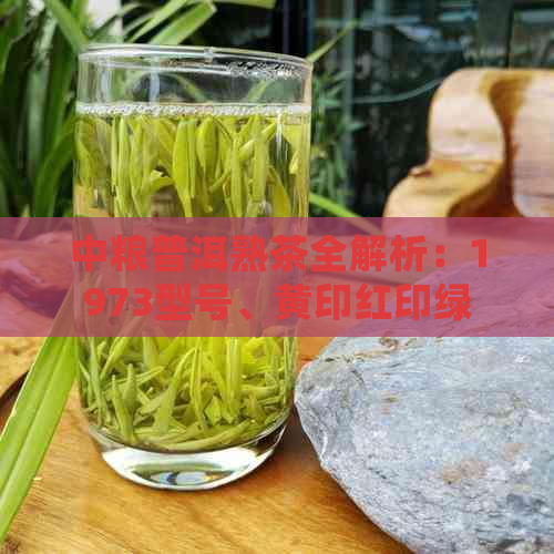 中粮普洱熟茶全解析：1973型号、黄印红印绿印区别，哪款好？砖茶详细介绍