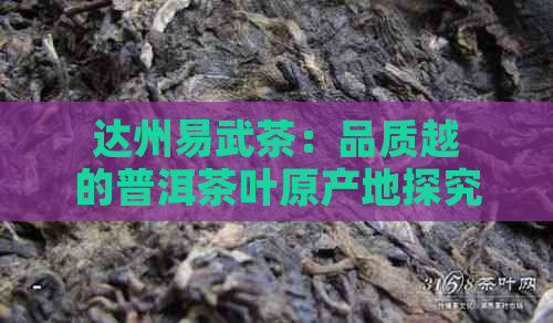 达州易武茶：品质越的普洱茶叶原产地探究