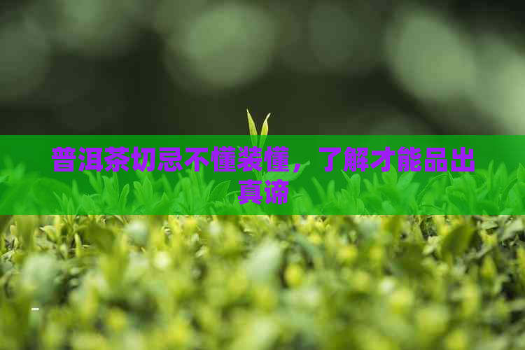 普洱茶切忌不懂装懂，了解才能品出真谛