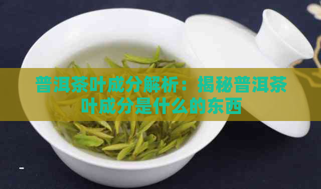 普洱茶叶成分解析：揭秘普洱茶叶成分是什么的东西