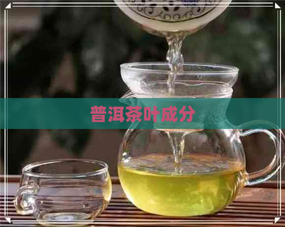 普洱茶叶成分