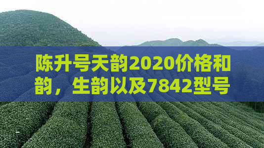 陈升号天韵2020价格和韵，生韵以及7842型号的市场参考