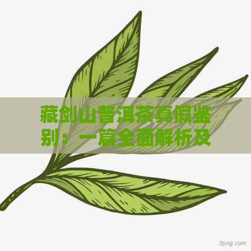 藏剑山普洱茶真假鉴别：一篇全面解析及购买建议