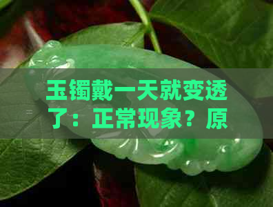 玉镯戴一天就变透了：正常现象？原因解析及处理建议