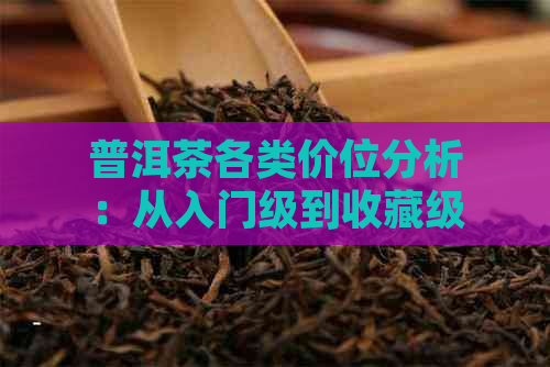 普洱茶各类价位分析：从入门级到收藏级的独特价值