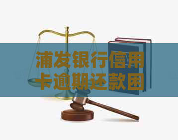 浦发银行信用卡逾期还款困境：如何应对以及是否可申请分期付款？