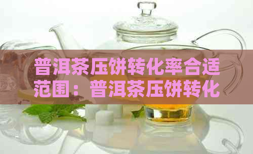 普洱茶压饼转化率合适范围：普洱茶压饼转化率正常水平是多少？