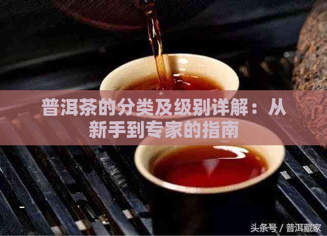 普洱茶的分类及级别详解：从新手到专家的指南