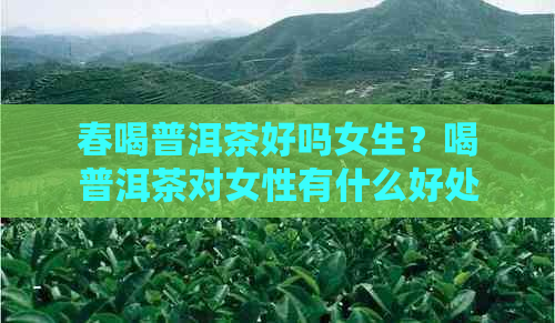 春喝普洱茶好吗女生？喝普洱茶对女性有什么好处？