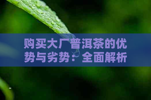 购买大厂普洱茶的优势与劣势：全面解析各大茶叶的真实品质与价值