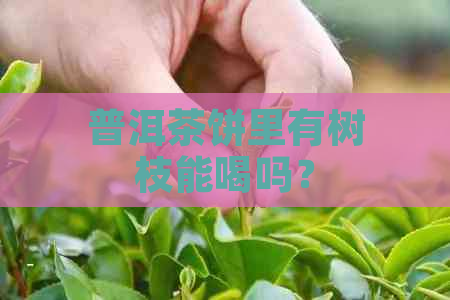 普洱茶饼里有树枝能喝吗？