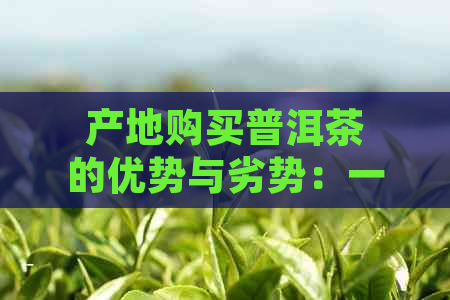 产地购买普洱茶的优势与劣势：一份全面指南