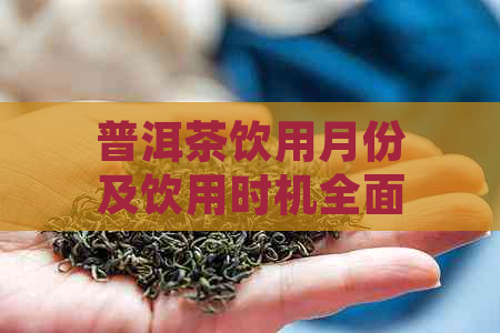 普洱茶饮用月份及饮用时机全面解析，助你找到品茗时光